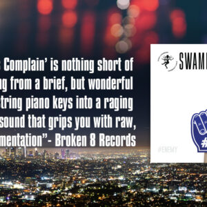 Swami Lushbeard "The Lights Complain" - review by Broken 8 Records